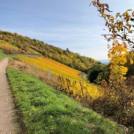 Apartament Le Du Sommerberg