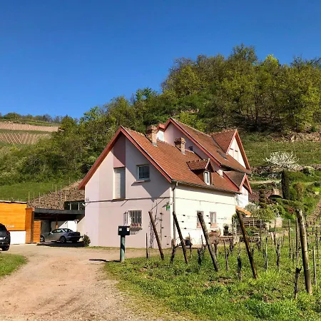 Le Du Sommerberg Niedermorschwihr